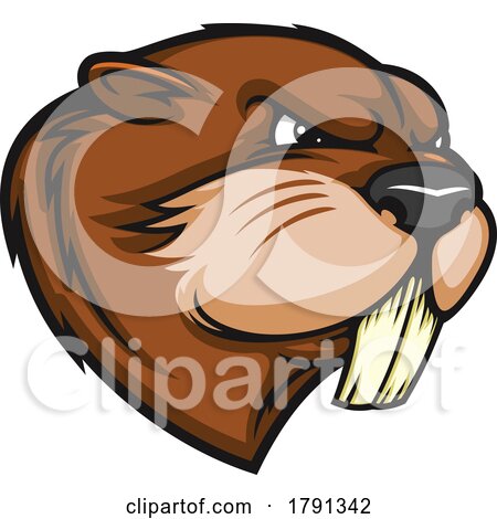 Tough Beaver Mascot by Vector Tradition SM