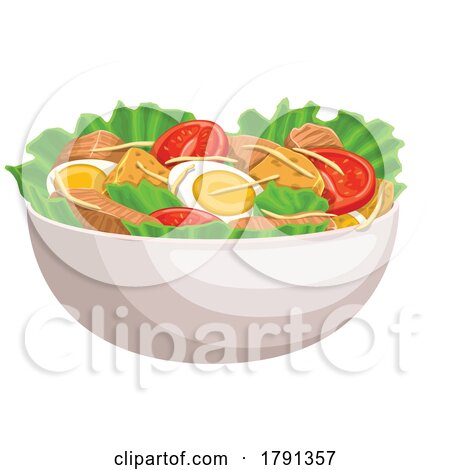 Chicken Caesar Salad by Vector Tradition SM