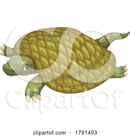 Henodus Turtle Dinosaur by Vector Tradition SM
