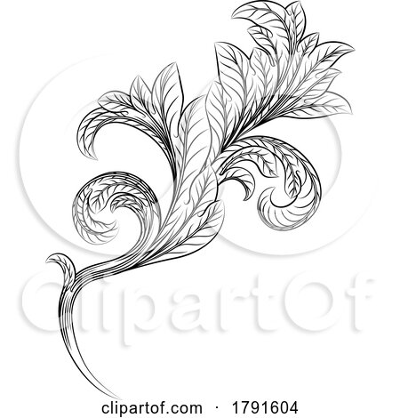 Filigree Heraldry Floral Baroque Design Element by AtStockIllustration