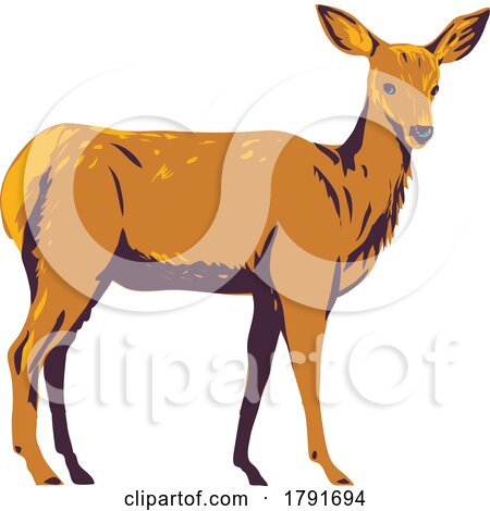 Mule Deer Odocoileus Hemionus Side View WPA Poster Art by patrimonio