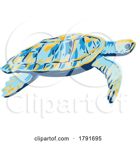 Loggerhead Sea Turtle Side View WPA Poster Art by patrimonio