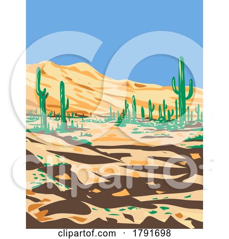Sonoran Desert National Monument Arizona During Summer WPA Poster Art by patrimonio