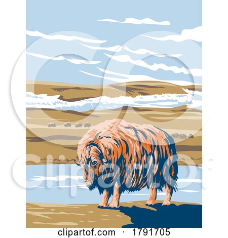 Musk Ox at Aulavik National Park on Banks Island Northwest Territories of Canada WPA Poster Art by patrimonio
