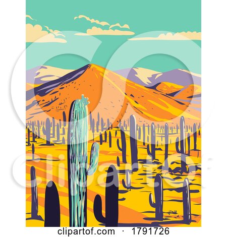 Cacti in Saguaro National Park Pima County Arizona WPA Poster Art by patrimonio
