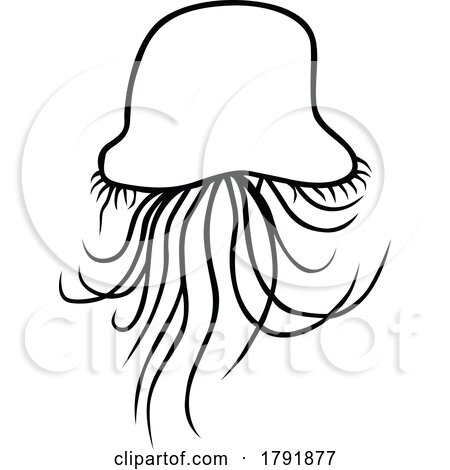 Cartoon Black and White Jellyfish by dero