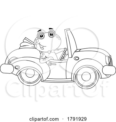 Cartoon Black and White Frog Groom Driving a Convertible by Hit Toon