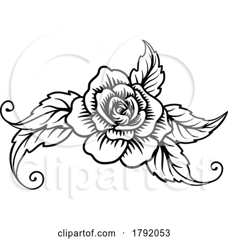 Roses Rose Tattoo Engraved Woodcut Etching Designs by AtStockIllustration