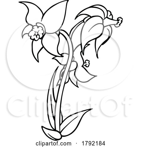 Cartoon Black and White Daffodils by dero