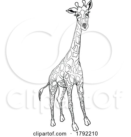 Cartoon Black and White Giraffe by dero