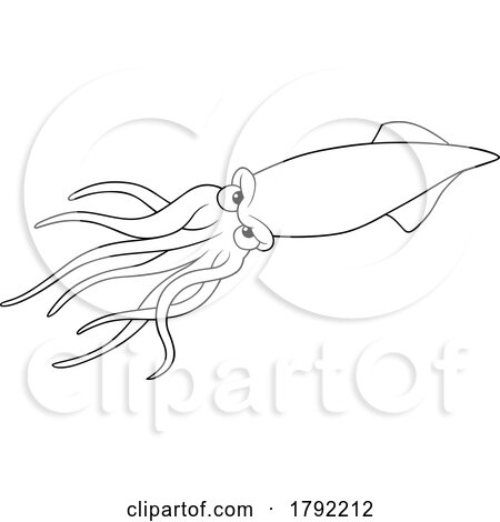 Cartoon Black and White Squid by dero