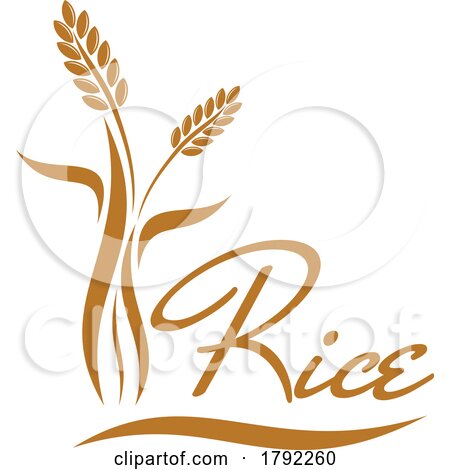 Rice by Vector Tradition SM