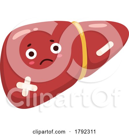 Liver Organ Mascot by Vector Tradition SM