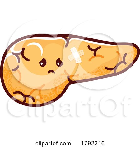 Pancreas Organ Mascot by Vector Tradition SM