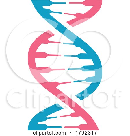DNA Double Helix by Vector Tradition SM