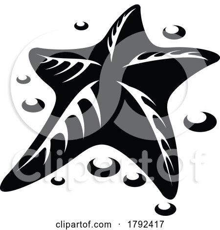Starfish by Vector Tradition SM