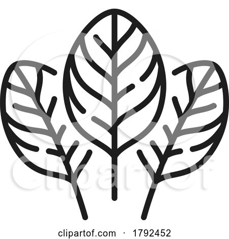Leaf Icon by Vector Tradition SM