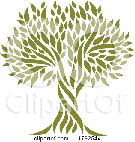Olive Tree by Vector Tradition SM