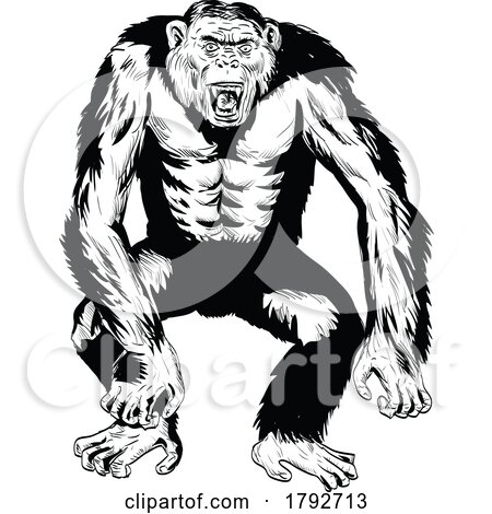 Angry Aggressive Chimpanzee in Fighting Stance Front View Comics Style Drawing by patrimonio