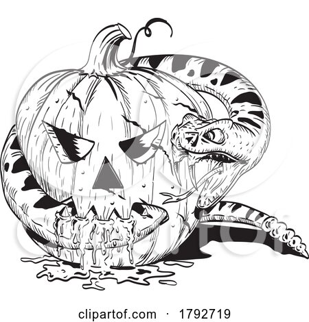 Jack-O-Lantern Halloween Pumpkin Fighting Rattlesnake Viper Snake Comics Style Drawing by patrimonio
