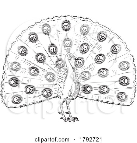 Peacock or Indian Peafowl with Fan like Tail of Skull Comics Style Drawing by patrimonio