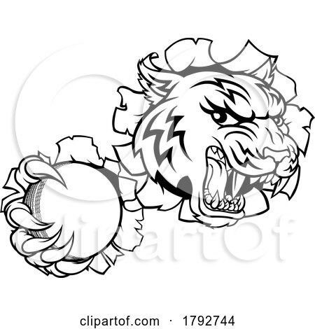 Tiger Cricket Player Animal Sports Mascot by AtStockIllustration
