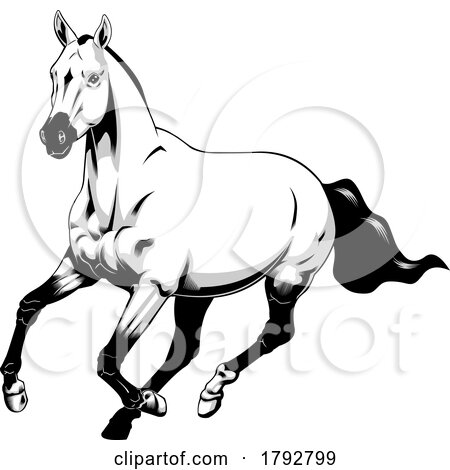 Cartoon Grayscale Horse Running by Hit Toon