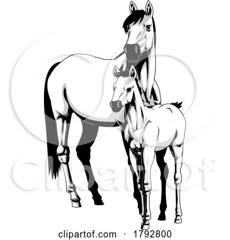 Cartoon Grayscale Horse and Foal by Hit Toon