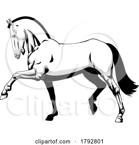 Cartoon Grayscale Horse Trotting by Hit Toon