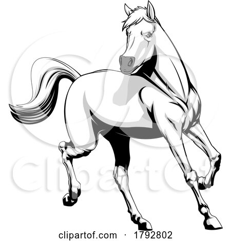 Cartoon Grayscale Horse Running by Hit Toon