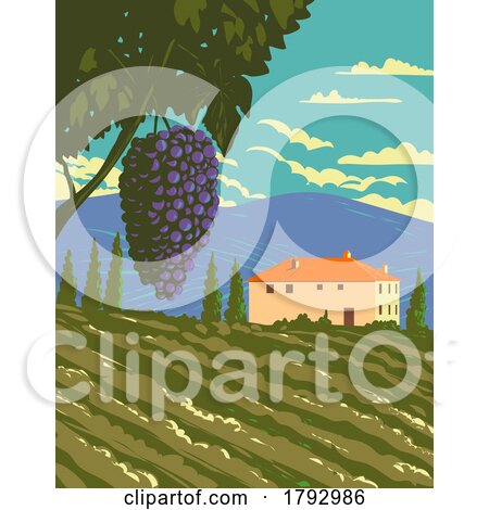 Grape Vine and Vineyard in Tuscany Countryside Central Italy WPA Art Deco Poster by patrimonio