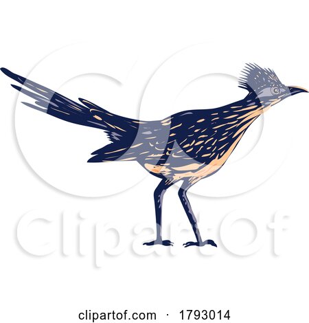 Roadrunner or Chaparral Bird Side View WPA Poster Art by patrimonio
