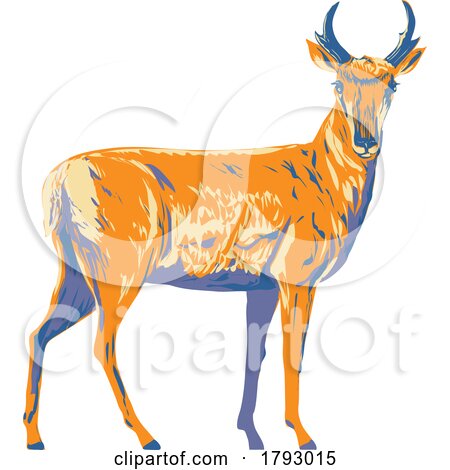 Pronghorn or American Antelope Side View WPA Poster Art by patrimonio