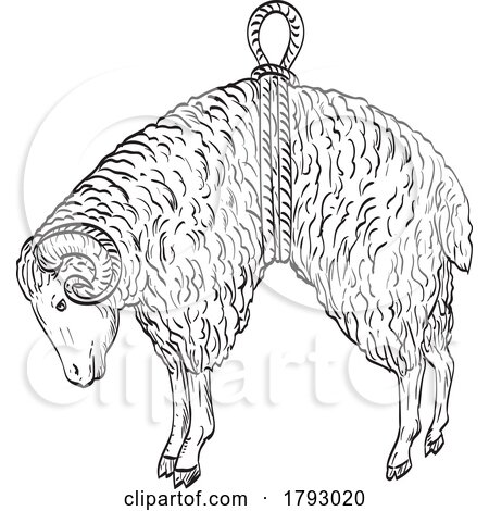 Ram Sheep Suspended in Rope Ribbon Symbol of the Golden Fleece Side View Comics Style Drawing by patrimonio