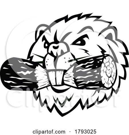 Angry North American Beaver or Eurasian Beaver Biting Log Head Mascot Retro by patrimonio
