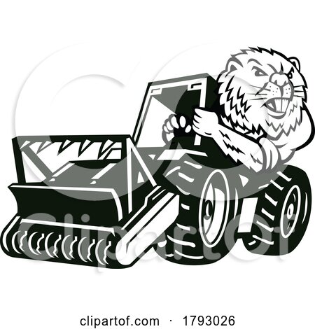 Angry Beaver Driving Mulching Tractor Mascot Cartoon Retro by patrimonio