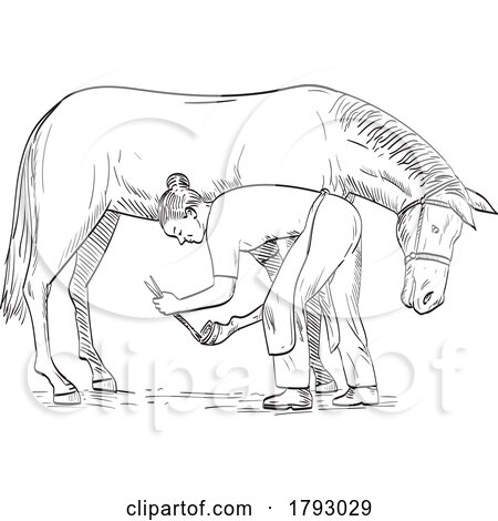 Female Farrier Placing Horseshoe on Horse Hoof Side View Comics Style Drawing by patrimonio