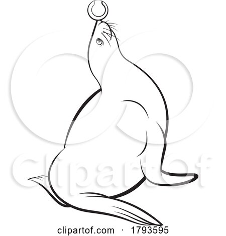 Cartoon Black and White Sea Lion Playing with a Tennis Ball by Lal Perera
