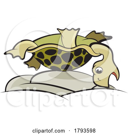 Cartoon Tortoise on Its Back by Lal Perera