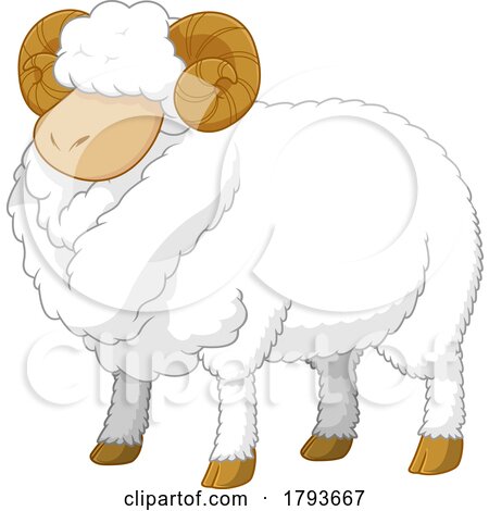 Cartoon Sheep by Hit Toon