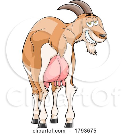 Cartoon Goat with Swollen Udders by Hit Toon