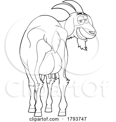 Cartoon Black and White Goat with Swollen Udders by Hit Toon