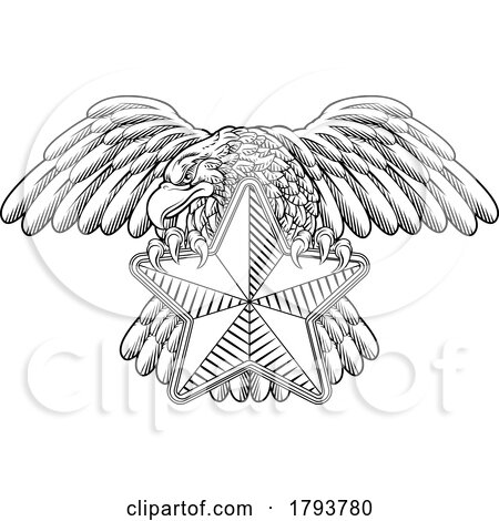 Eagle Star Symbol Crest Banner Parchment Design by AtStockIllustration