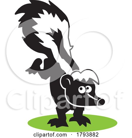 Cartoon Skunk Doing a Handstand by Johnny Sajem