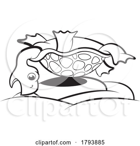 Cartoon Black and White Tortoise on Its Back by Lal Perera