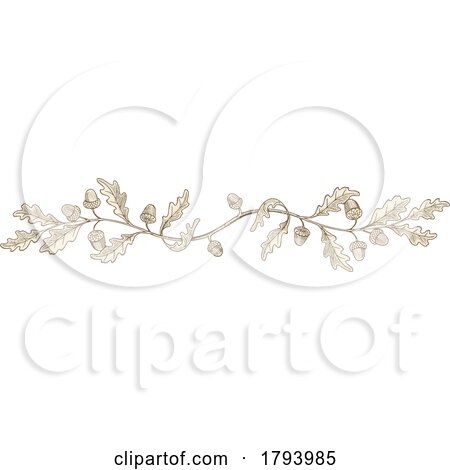 Engraved Acorn and Oak Leaf Rule Border Design by Any Vector