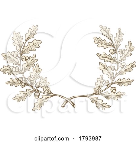 Engraved Acorn and Oak Leaf Wreath Laurel Design by Any Vector