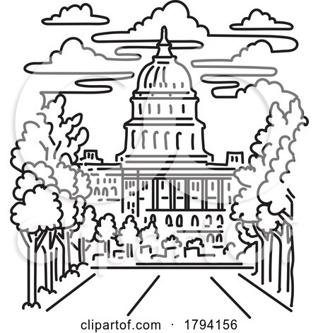 US Capitol Building in Washington DC USA Monoline Art by patrimonio