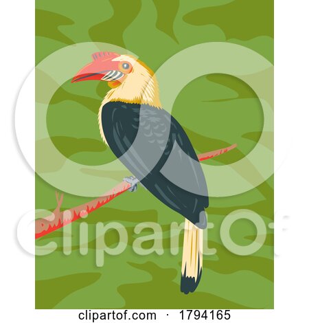 Mindanao Wrinkled Hornbill or Aceros Leucocephalus WPA Art by patrimonio