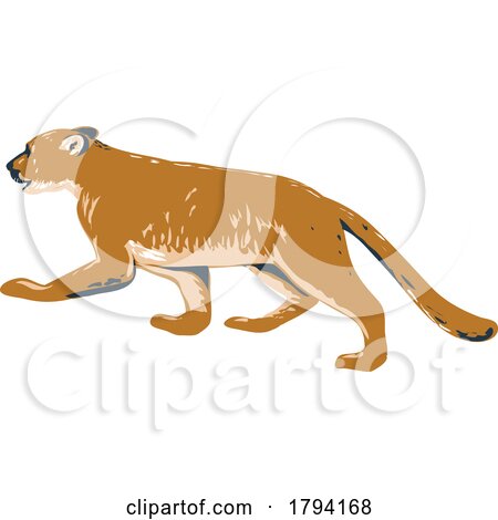 Cougar Prowling Side View WPA Poster Art by patrimonio